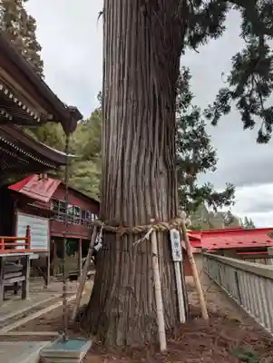 鼬幣稲荷神社(岩手県)