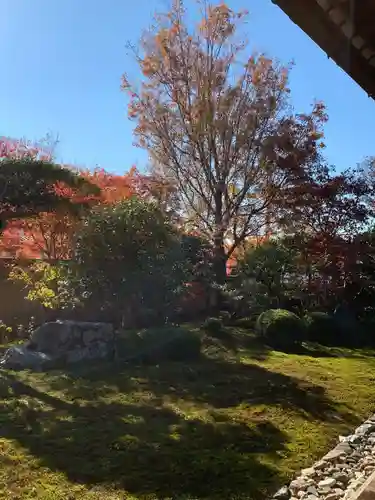 東福禅寺（東福寺）(京都府)