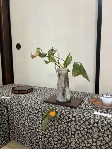 達磨堂 円福寺 (京都府)