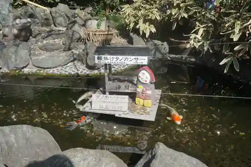 櫻木神社の庭園