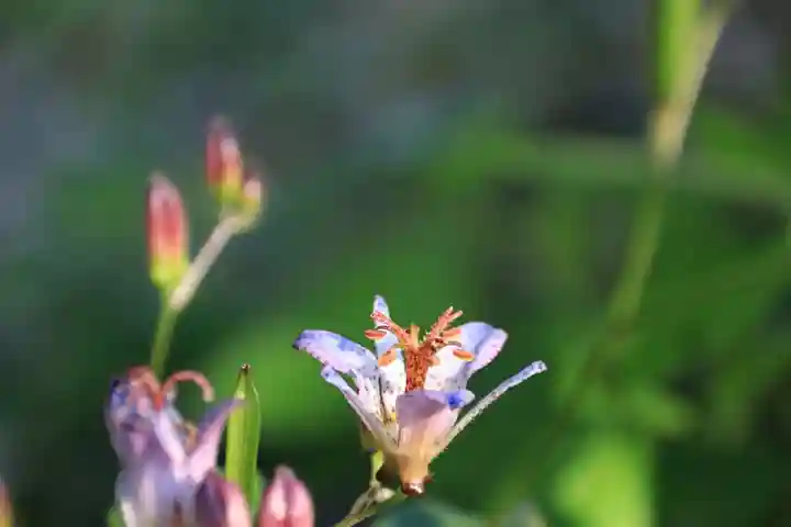 豊景神社(福島県)