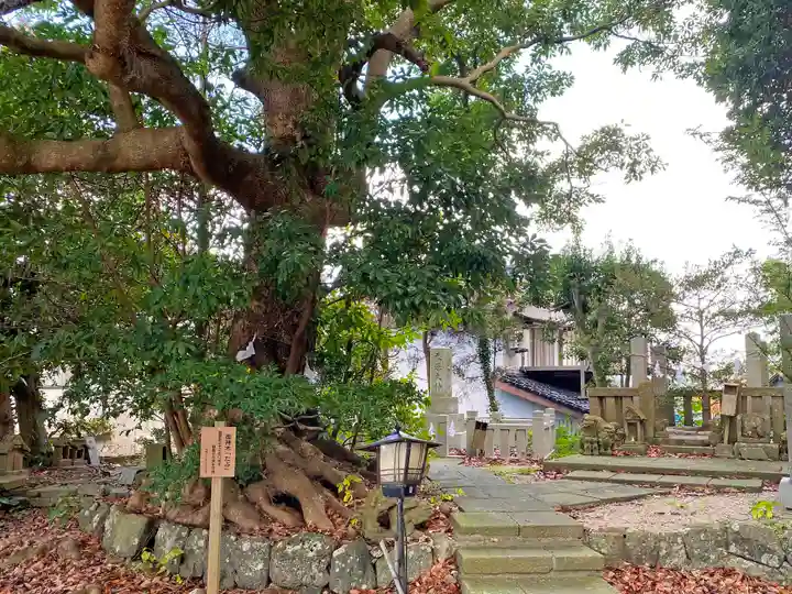賣豆紀神社の自然