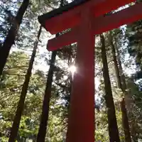 箱根神社(神奈川県)