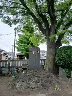 蘇我比咩神社の{uncategorized: "未分類", other: "その他", undefined: "問題あり", building: "その他建物", grave: "お墓", sacred_gate: "鳥居", guardian: "狛犬", statue: "像", buddha: "仏像", history: "歴史", nature: "自然", garden: "庭園", animal: "動物", pagoda: "塔", temizu: "手水舎", mountain_gate: "山門・神門", sanctuary: "本殿・本堂", subordinate: "末社・摂社", art: "芸術", scenery: "景色", jizo: "地蔵", ema: "絵馬", goshuin: "御朱印", omikuji: "おみくじ", items: "授与品その他", amulet: "お守り", goshuincho: "御朱印帳", eats: "食事", festival: "お祭り", votive_dance: "神楽", shichigosan: "七五三参", wedding: "結婚式", experience: "体験その他", initially: "初詣", around: "周辺", anti_infection: "感染症対策"}