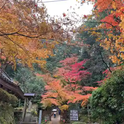 金剛輪寺(滋賀県)