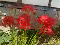 一条山宝蓮寺(愛知県)