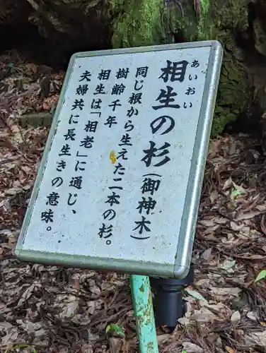 貴船神社(京都府)