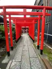 富士浅間神社の鳥居