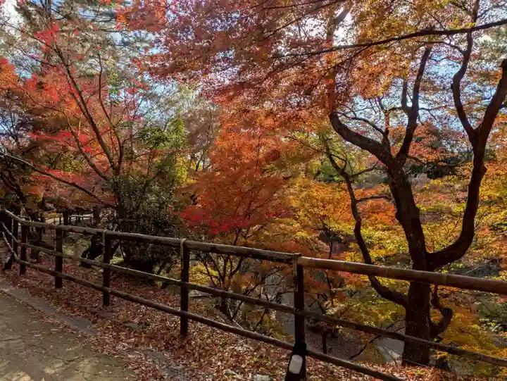 北野天満宮(京都府)