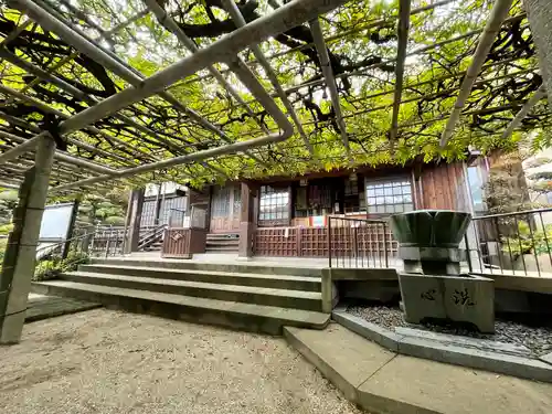 吉祥寺の本殿・本堂