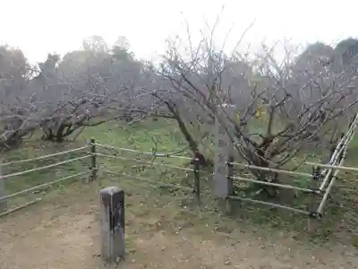 仁和寺(京都府)