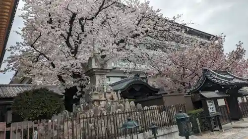 壬生寺(京都府)