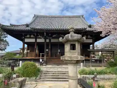 般若寺 ❁﻿コスモス寺❁(奈良県)
