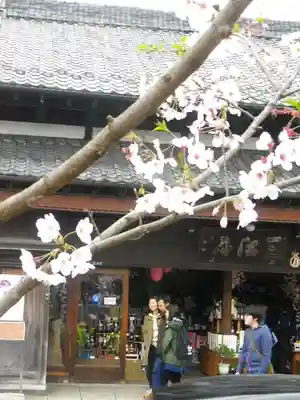 鶴岡八幡宮の周辺