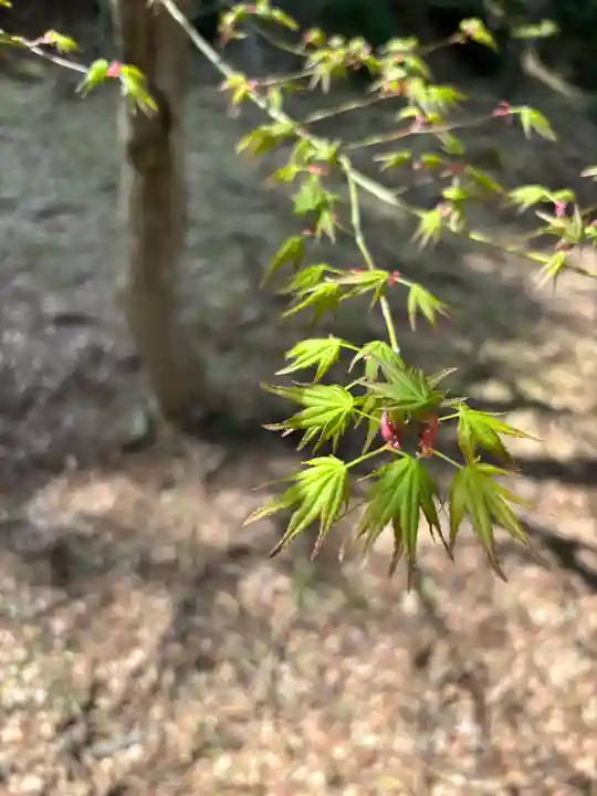 高源寺(兵庫県)