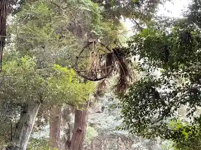 大森神社(滋賀県)