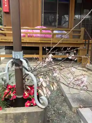 源空院（浅井寺）の{uncategorized: "未分類", other: "その他", undefined: "問題あり", building: "その他建物", grave: "お墓", sacred_gate: "鳥居", guardian: "狛犬", statue: "像", buddha: "仏像", history: "歴史", nature: "自然", garden: "庭園", animal: "動物", pagoda: "塔", temizu: "手水舎", mountain_gate: "山門・神門", sanctuary: "本殿・本堂", subordinate: "末社・摂社", art: "芸術", scenery: "景色", jizo: "地蔵", ema: "絵馬", goshuin: "御朱印", omikuji: "おみくじ", items: "授与品その他", amulet: "お守り", goshuincho: "御朱印帳", eats: "食事", festival: "お祭り", votive_dance: "神楽", shichigosan: "七五三参", wedding: "結婚式", experience: "体験その他", initially: "初詣", around: "周辺", anti_infection: "感染症対策"}