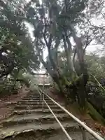 金峰神社(鹿児島県)