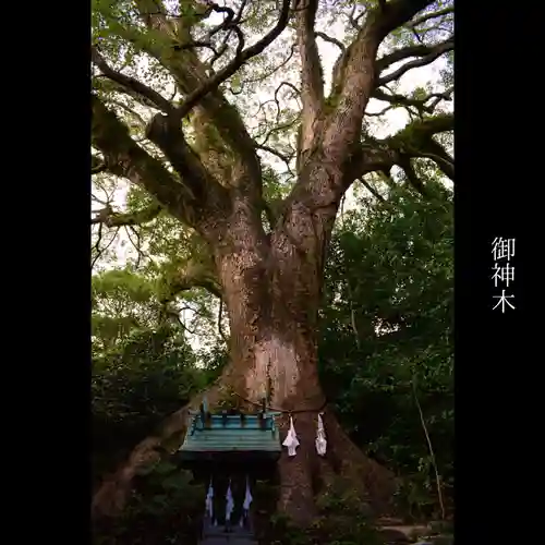 防府天満宮の自然