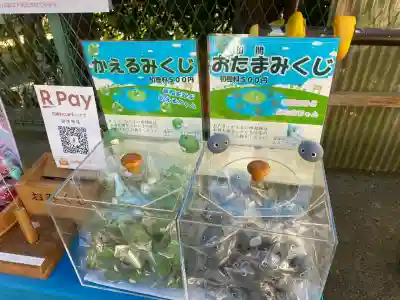 田間神社の{uncategorized: "未分類", other: "その他", undefined: "問題あり", building: "その他建物", grave: "お墓", sacred_gate: "鳥居", guardian: "狛犬", statue: "像", buddha: "仏像", history: "歴史", nature: "自然", garden: "庭園", animal: "動物", pagoda: "塔", temizu: "手水舎", mountain_gate: "山門・神門", sanctuary: "本殿・本堂", subordinate: "末社・摂社", art: "芸術", scenery: "景色", jizo: "地蔵", ema: "絵馬", goshuin: "御朱印", omikuji: "おみくじ", items: "授与品その他", amulet: "お守り", goshuincho: "御朱印帳", eats: "食事", festival: "お祭り", votive_dance: "神楽", shichigosan: "七五三参", wedding: "結婚式", experience: "体験その他", initially: "初詣", around: "周辺", anti_infection: "感染症対策"}