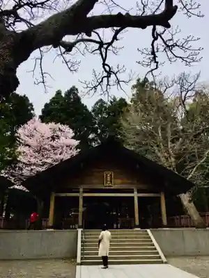 開拓神社の本殿・本堂