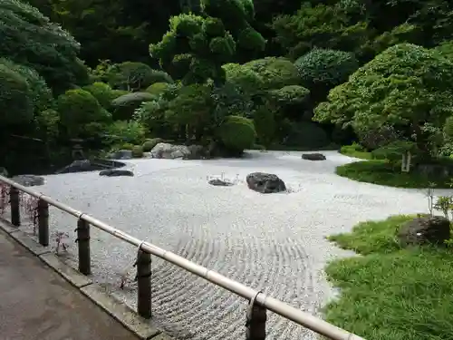 報国寺の庭園