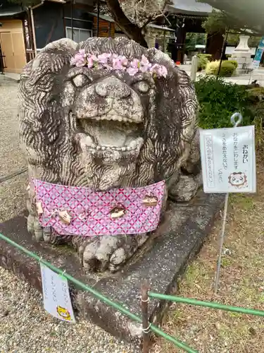 京都乃木神社の狛犬