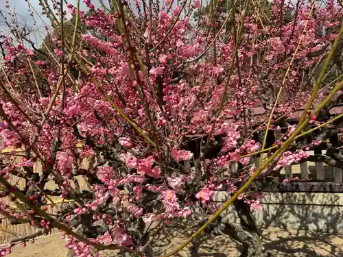 結城神社(三重県)