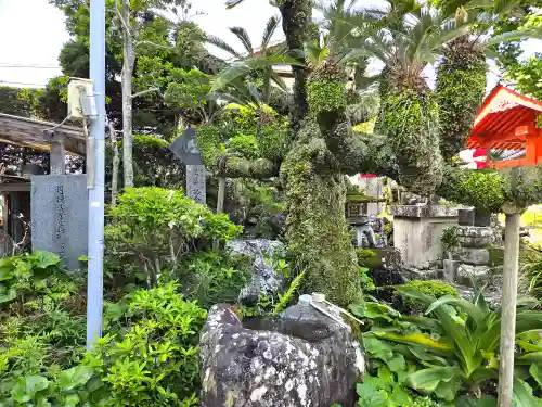 津照寺(高知県)
