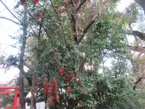 日枝神社(東京都)