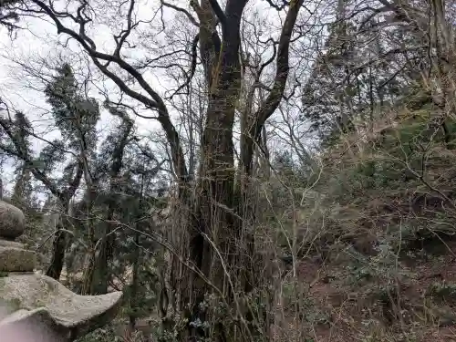 諏訪神社(福井県)