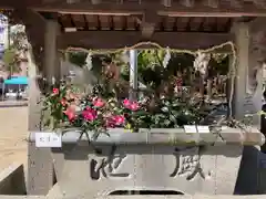 三津厳島神社の手水