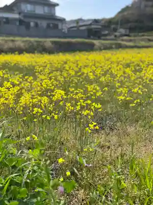 岩上神社(兵庫県)