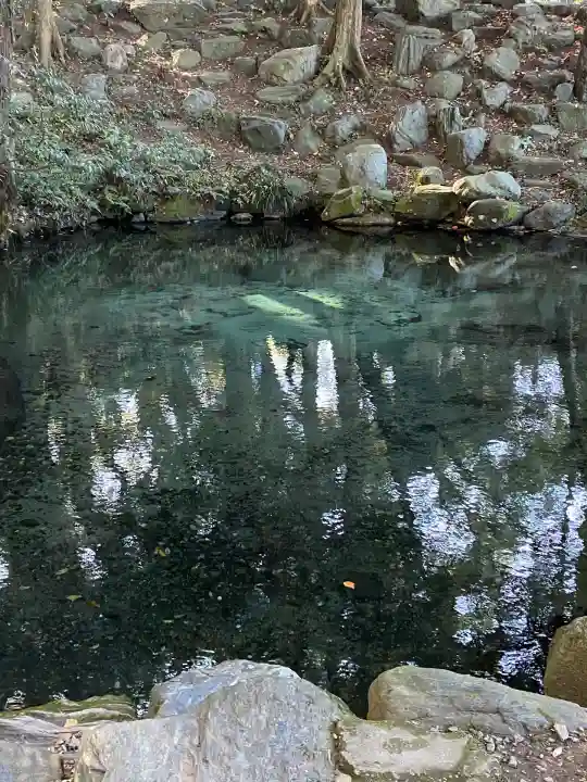泉神社(茨城県)