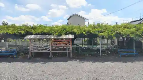 菖蒲神社(埼玉県)