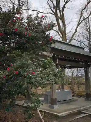 櫛田神社の手水舎