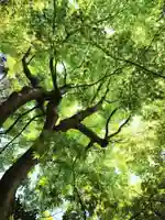 杉本寺(神奈川県)