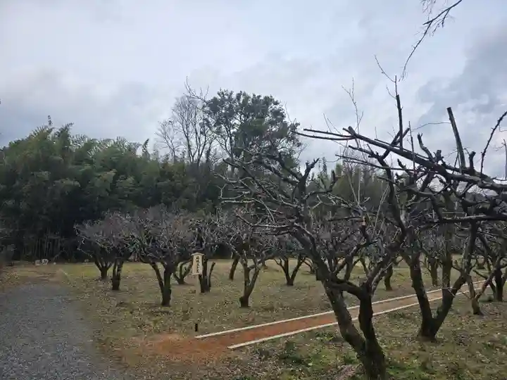 大覚寺(京都府)