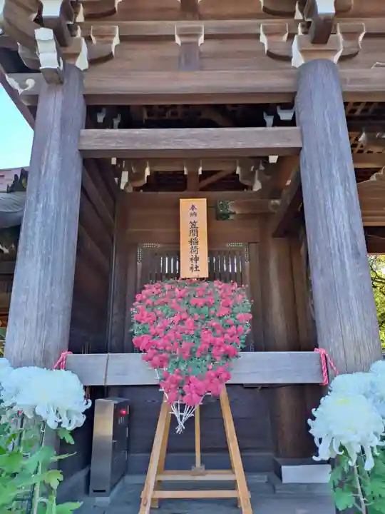 明治神宮(東京都)