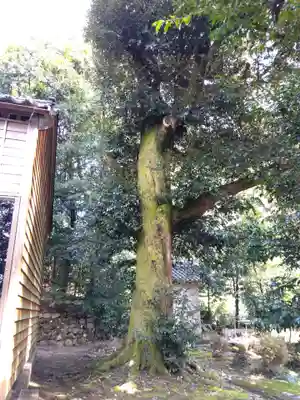 散田天神社(石川県)