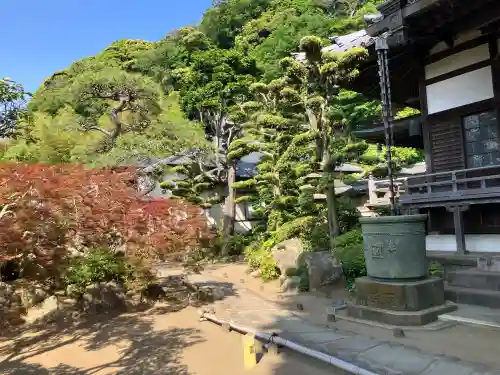 本蓮寺の{uncategorized: "未分類", other: "その他", undefined: "問題あり", building: "その他建物", grave: "お墓", sacred_gate: "鳥居", guardian: "狛犬", statue: "像", buddha: "仏像", history: "歴史", nature: "自然", garden: "庭園", animal: "動物", pagoda: "塔", temizu: "手水舎", mountain_gate: "山門・神門", sanctuary: "本殿・本堂", subordinate: "末社・摂社", art: "芸術", scenery: "景色", jizo: "地蔵", ema: "絵馬", goshuin: "御朱印", omikuji: "おみくじ", items: "授与品その他", amulet: "お守り", goshuincho: "御朱印帳", eats: "食事", festival: "お祭り", votive_dance: "神楽", shichigosan: "七五三参", wedding: "結婚式", experience: "体験その他", initially: "初詣", around: "周辺", anti_infection: "感染症対策"}