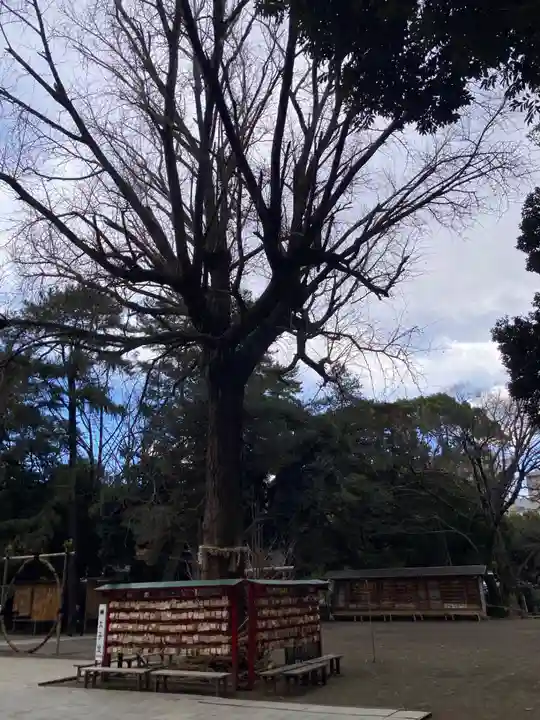 平塚八幡宮(神奈川県)