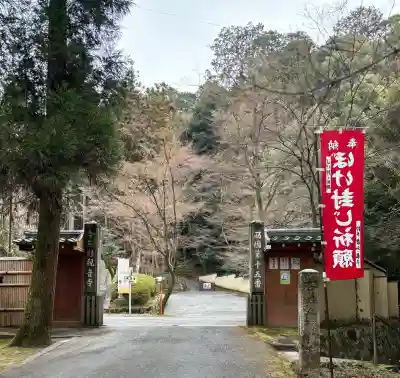 今熊野観音寺の{uncategorized: "未分類", other: "その他", undefined: "問題あり", building: "その他建物", grave: "お墓", sacred_gate: "鳥居", guardian: "狛犬", statue: "像", buddha: "仏像", history: "歴史", nature: "自然", garden: "庭園", animal: "動物", pagoda: "塔", temizu: "手水舎", mountain_gate: "山門・神門", sanctuary: "本殿・本堂", subordinate: "末社・摂社", art: "芸術", scenery: "景色", jizo: "地蔵", ema: "絵馬", goshuin: "御朱印", omikuji: "おみくじ", items: "授与品その他", amulet: "お守り", goshuincho: "御朱印帳", eats: "食事", festival: "お祭り", votive_dance: "神楽", shichigosan: "七五三参", wedding: "結婚式", experience: "体験その他", initially: "初詣", around: "周辺", anti_infection: "感染症対策"}