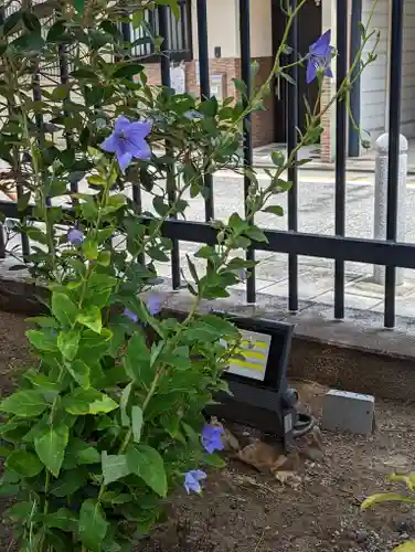 六波羅蜜寺の庭園