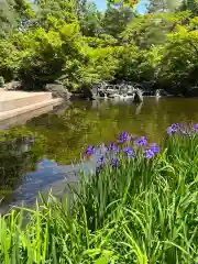 寒川神社(神奈川県)