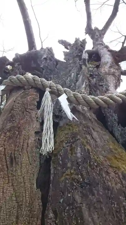 新田神社(東京都)