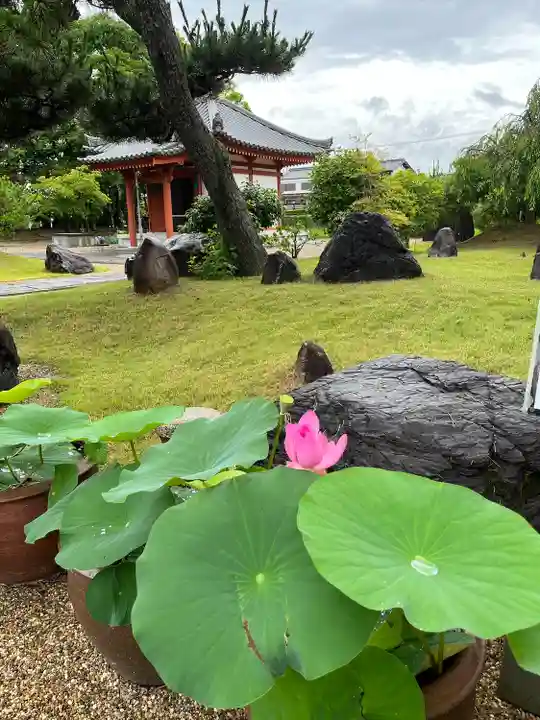 喜光寺(奈良県)