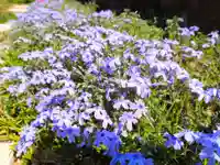 寿量山 速成寺(奈良県)