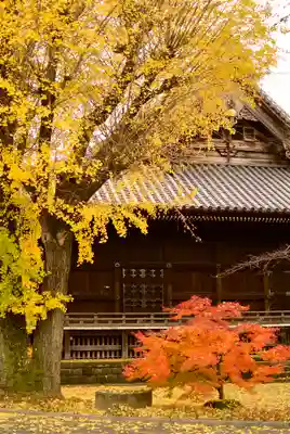 寛永寺(根本中堂)のその他建物