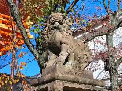 八坂神社(祇園さん)の狛犬